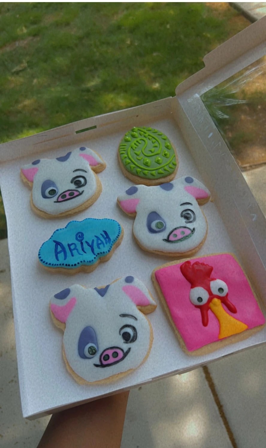 Custom decorated character cookies